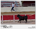 316-1620 x 1080---16L Camargue_3086